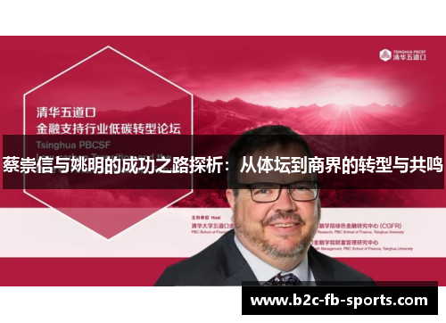 蔡崇信与姚明的成功之路探析：从体坛到商界的转型与共鸣