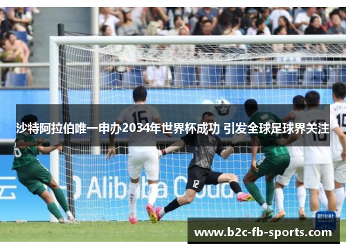 沙特阿拉伯唯一申办2034年世界杯成功 引发全球足球界关注